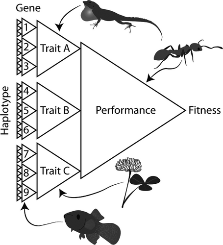 Details are in the caption following the image