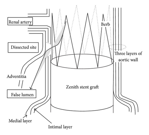 Details are in the caption following the image Details are in the caption following the image