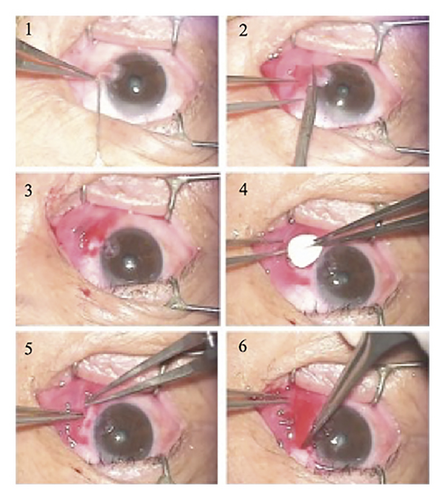 Details are in the caption following the image Details are in the caption following the image