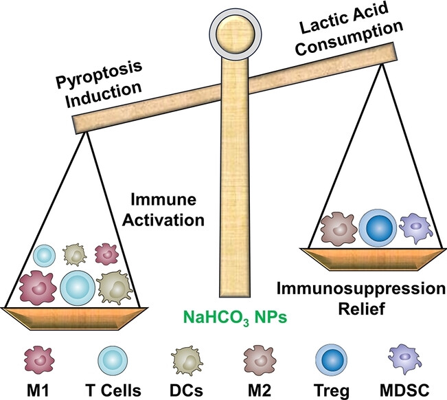 Sodium Bicarbonate Nanoparticles for Amplified Cancer Immunotherapy by Inducing Pyroptosis and Regulating Lactic Acid Metabolism