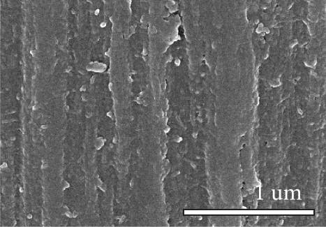 Details are in the caption following the image