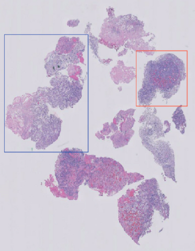 Details are in the caption following the image