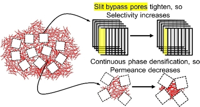 New Insights into Physical Aging-Induced Structure Evolution in Carbon Molecular Sieve Membranes