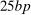 urn:x-wiley:00129682:media:ecta200477:ecta200477-math-0280