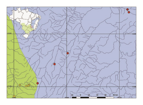 Details are in the caption following the image
