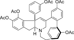 Total Synthesis of (−)-Haouamine B Pentaacetate and Structural Revision of Haouamine B