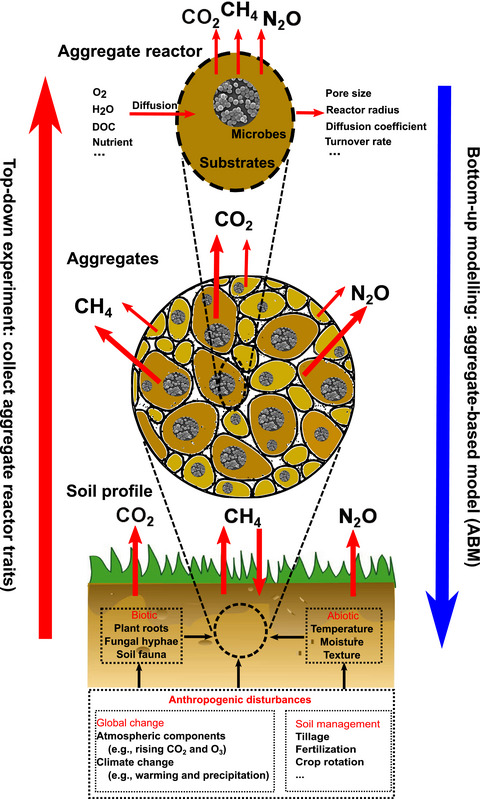 Soil aggregates as biogeochemical reactors and implications for soil–atmosphere exchange of greenhouse gases—A concept