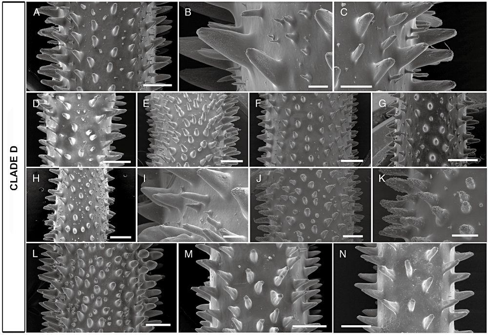 Details are in the caption following the image Details are in the caption following the image