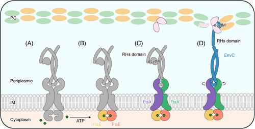 Details are in the caption following the image Details are in the caption following the image