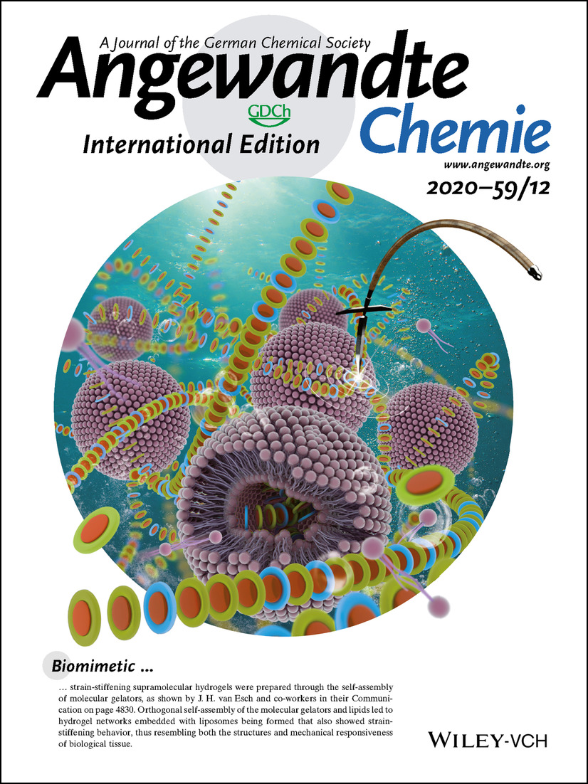 Back Cover: Biomimetic Strain-Stiffening Self-Assembled Hydrogels (Angew. Chem. Int. Ed. 12/2020) Volume 59 Issue 12, 2020