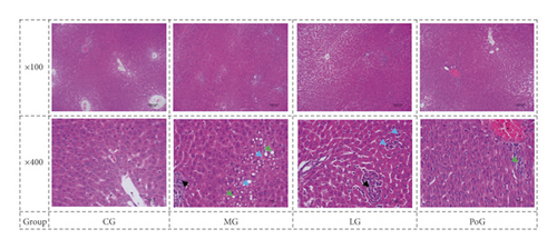 Details are in the caption following the image Details are in the caption following the image