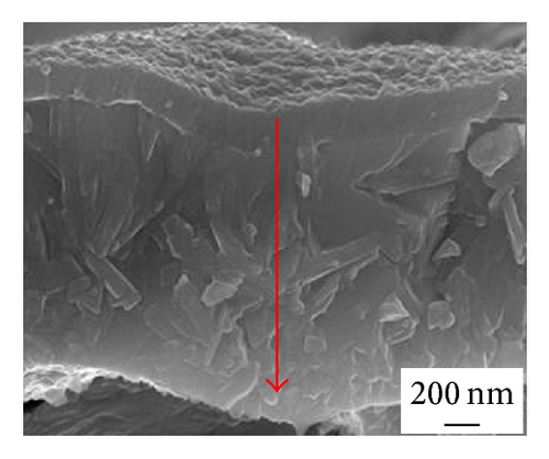 Details are in the caption following the image Details are in the caption following the image