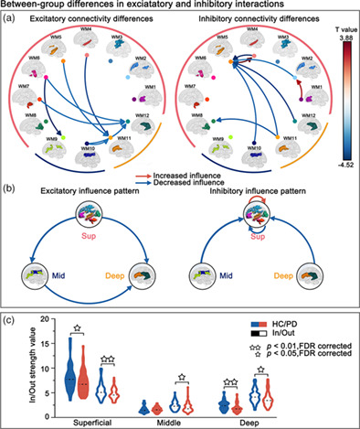 Attenuated brain white matter functional network interactions in Parkinson's disease