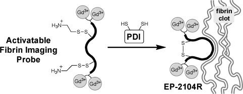 Activation and Retention: A Magnetic Resonance Probe for the Detection of Acute Thrombosis