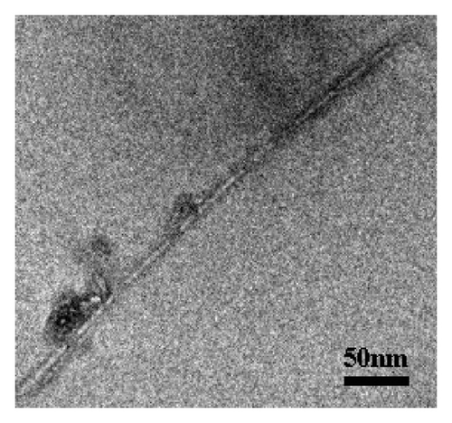 Details are in the caption following the image