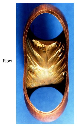 Details are in the caption following the image