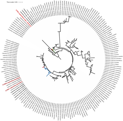 Details are in the caption following the image Details are in the caption following the image