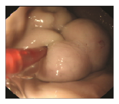 Details are in the caption following the image Details are in the caption following the image