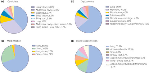 Opportunistic invasive fungal disease in patients with type 2 diabetes mellitus from Southern China: Clinical features and associated factors