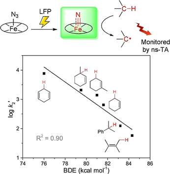 C−H Activation by an Iron-Nitrido Bis-Pocket Porphyrin Species