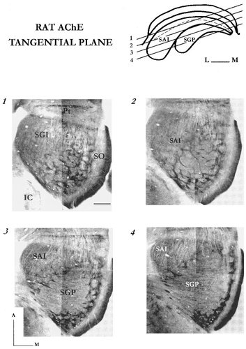 Details are in the caption following the image