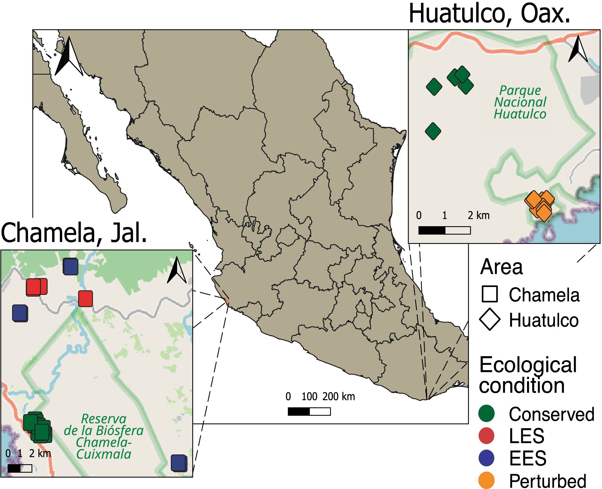 Drivers of Insect Diversity and Community Turnover in Protected Tropical Deciduous Forests of Mexico
