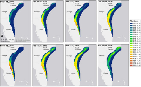 An open spatial capture–recapture model for estimating density, movement, and population dynamics from line-transect surveys