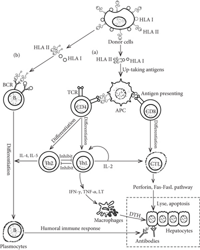 Details are in the caption following the image