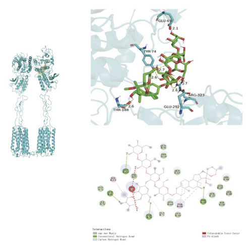 Details are in the caption following the image Details are in the caption following the image