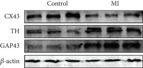 Details are in the caption following the image