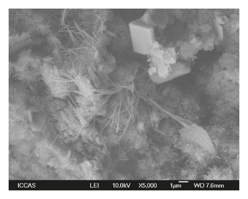 Details are in the caption following the image