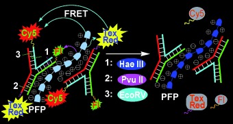 Fluorescence Logic-Signal-Based Multiplex Detection of Nucleases with the Assembly of a Cationic Conjugated Polymer and Branched DNA