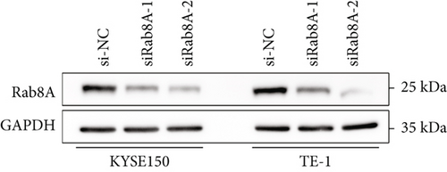 Details are in the caption following the image