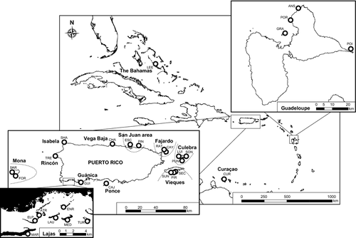Details are in the caption following the image