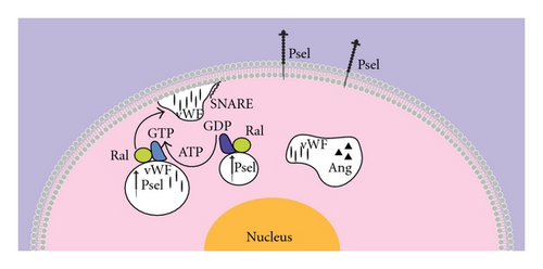 Details are in the caption following the image