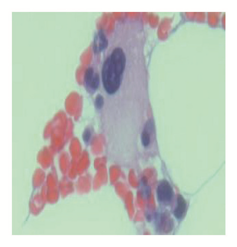 Details are in the caption following the image