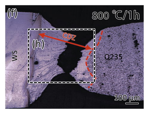 Details are in the caption following the image