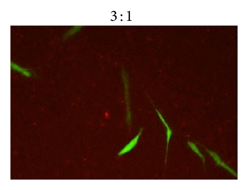 Details are in the caption following the image