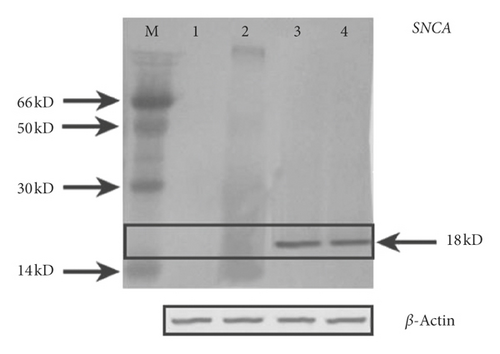 Details are in the caption following the image