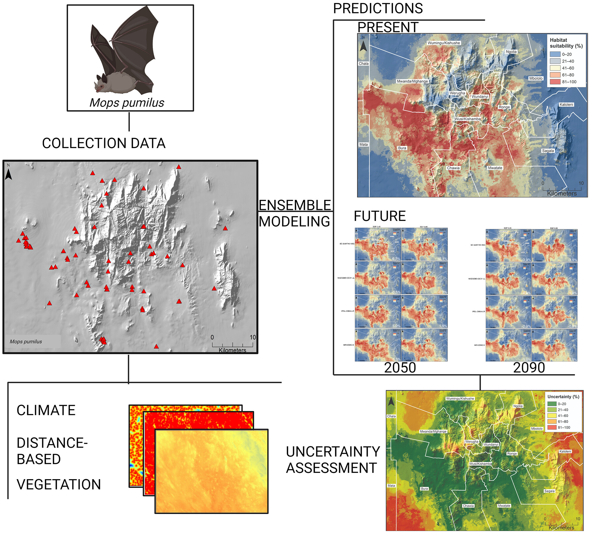 Current and future environmental suitability for bats hosting potential zoonotic pathogens in rural Kenya