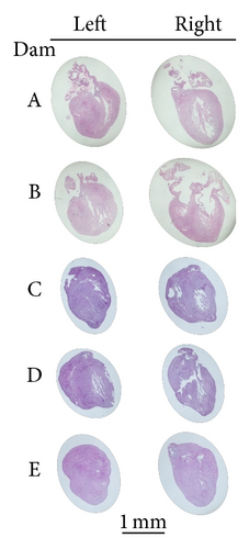 Details are in the caption following the image