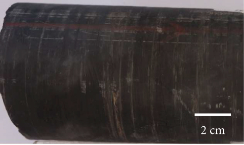 Details are in the caption following the image