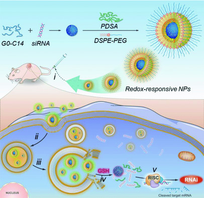 Redox-Responsive Nanoparticle-Mediated Systemic RNAi for Effective Cancer Therapy