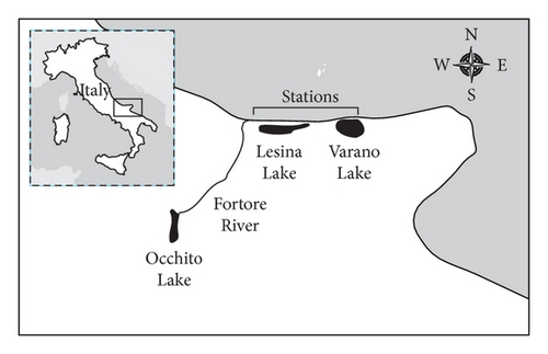 Details are in the caption following the image Details are in the caption following the image