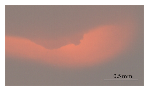 Details are in the caption following the image