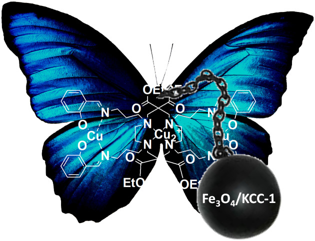 Synthesis of tetramethylquinoline-2,4-diamine using FeNi3/KCC-1/APTPOSS-supported copper cyclam and salen complex as a reusable catalyst