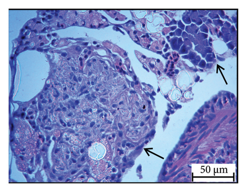 Details are in the caption following the image