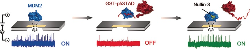 Probing the Small-Molecule Inhibition of an Anticancer Therapeutic Protein-Protein Interaction Using a Solid-State Nanopore