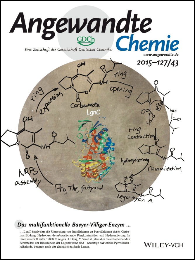 Rücktitelbild: Discovery of a Single Monooxygenase that Catalyzes Carbamate Formation and Ring Contraction in the Biosynthesis of the Legonmycins (Angew. Chem. 43/2015)