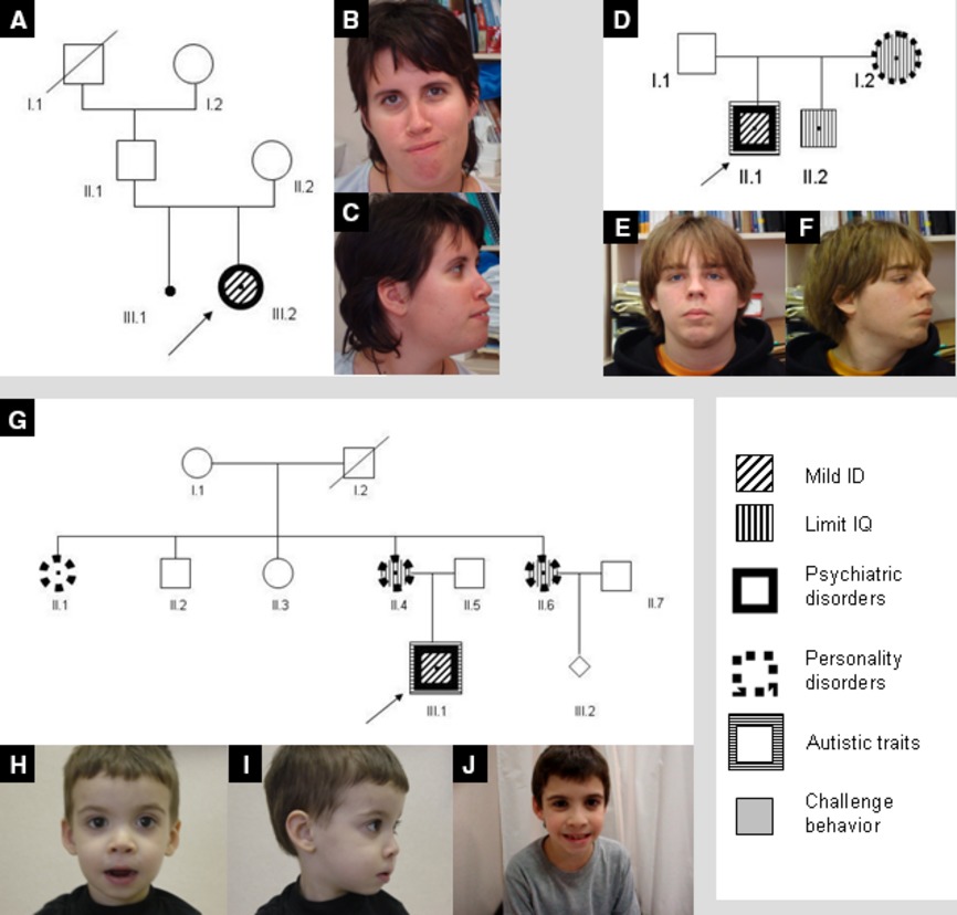 A common cognitive, psychiatric, and dysmorphic phenotype in carriers of NRXN1 deletion
